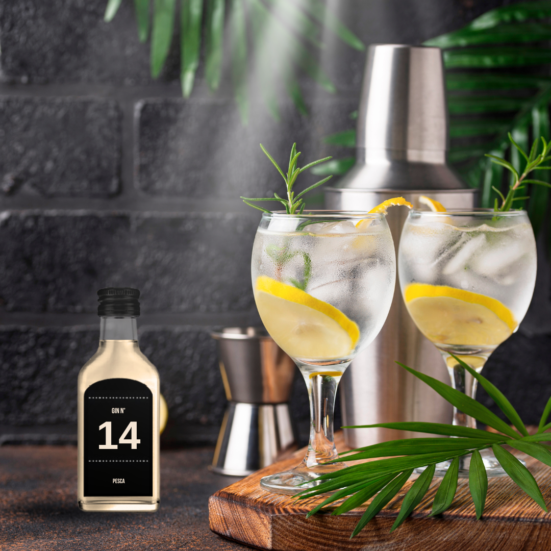 Calendario dell'avvento con 24 gin premium, regalo di Natale unico. Idea regalo originale per adulti amanti del gin, edizione limitata 2024