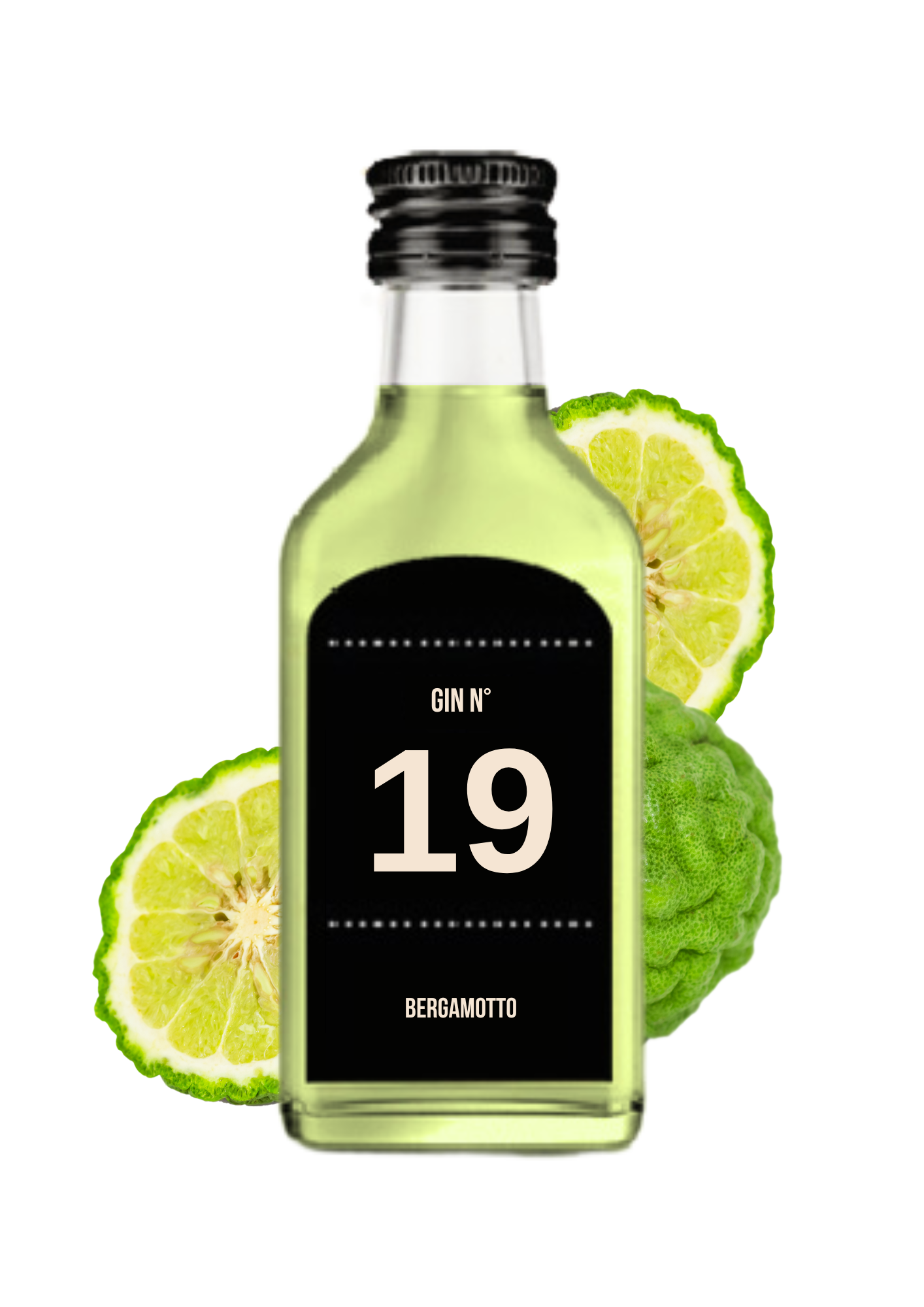 Calendario dell'avvento con 24 gin premium, regalo di Natale unico. Idea regalo originale per adulti amanti del gin, edizione limitata 2024